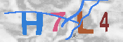 CAPTCHA-Bild